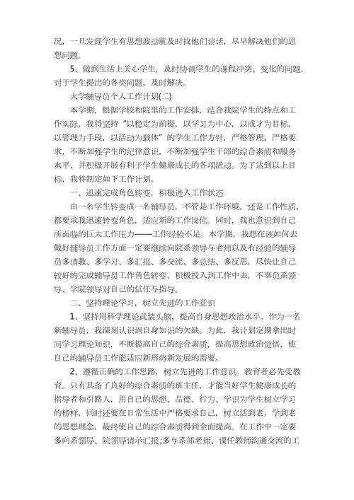 大学辅导员个人工作计划 第1张