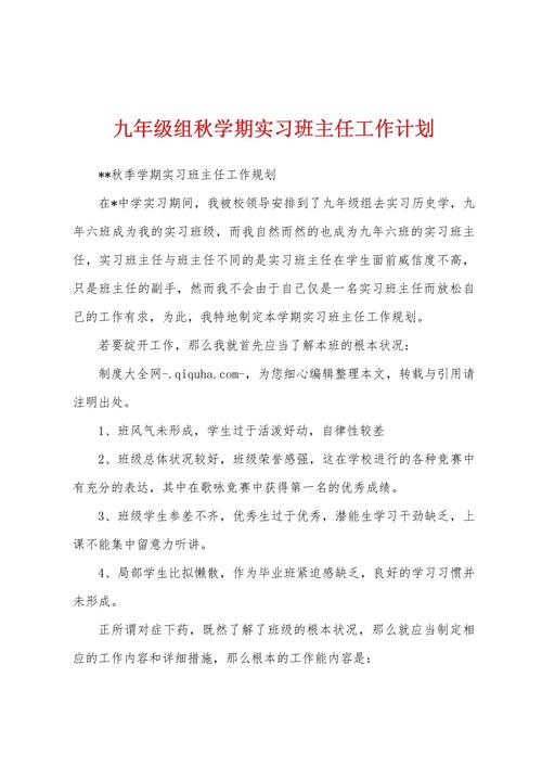 实习班主任的工作计划 第2张