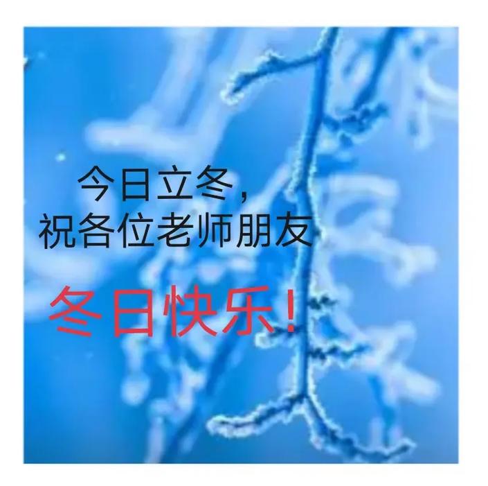 2022立冬快乐的微信祝福语 第2张