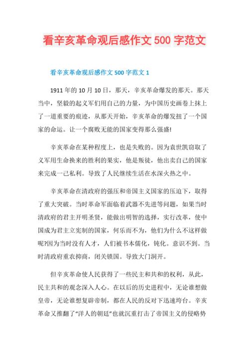 关于辛亥革命纪念日的讲话稿精选 第1张