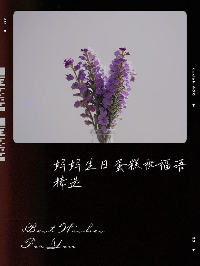 美好的母亲生日祝福 第2张