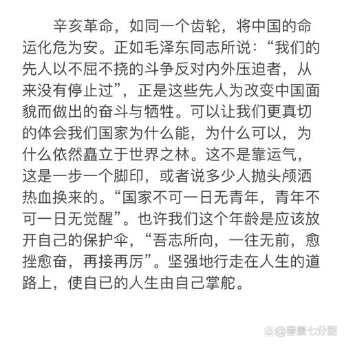 关于辛亥革命的讲话稿简短 第3张