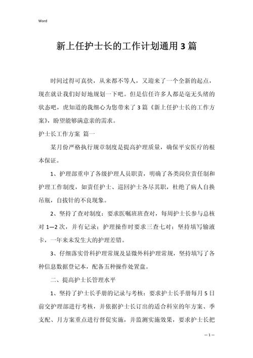 新上任护士长的工作计划 第1张