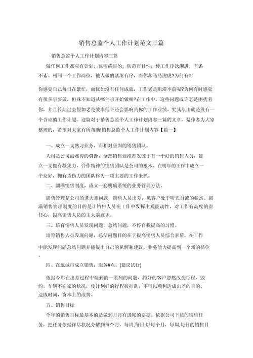 销售总监工作计划 第2张