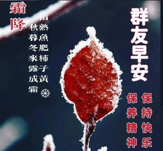 霜降的微信温暖祝福语 第2张