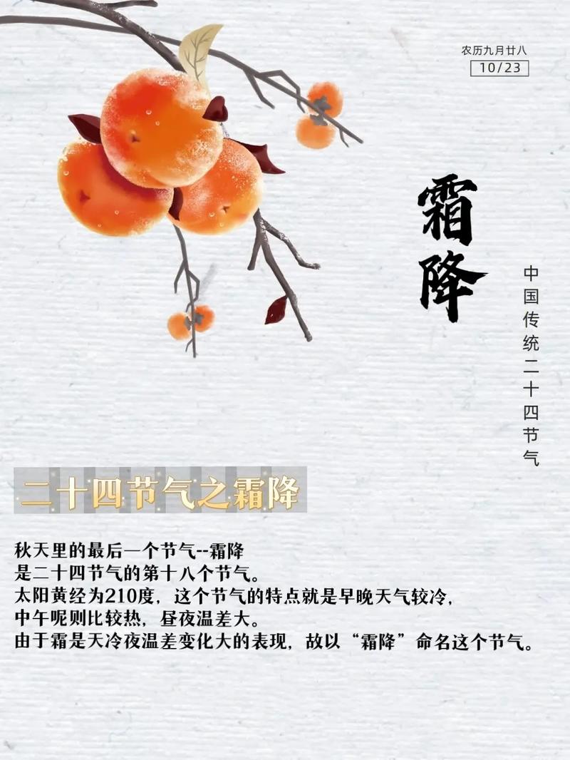 2022朋友圈霜降的经典祝福语 第2张