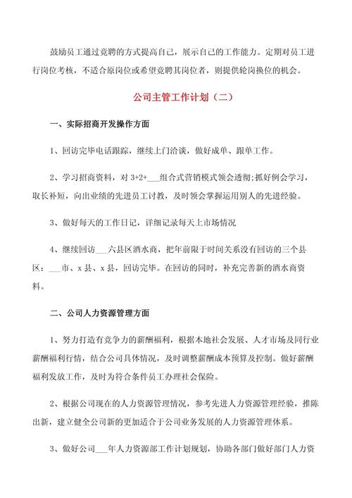 公司主管的工作计划 第2张