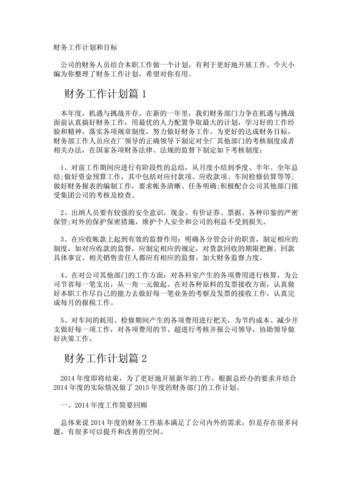 公司财务考核工作计划 第1张