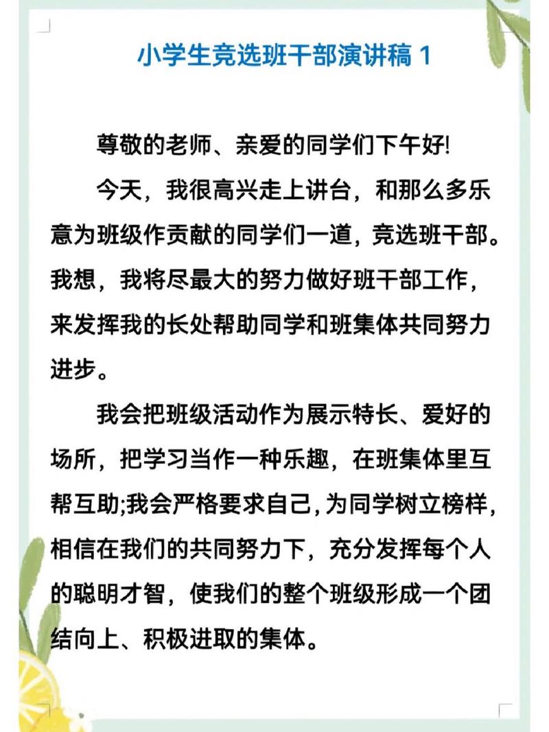 关于班干部竞聘的发言稿范文 第2张