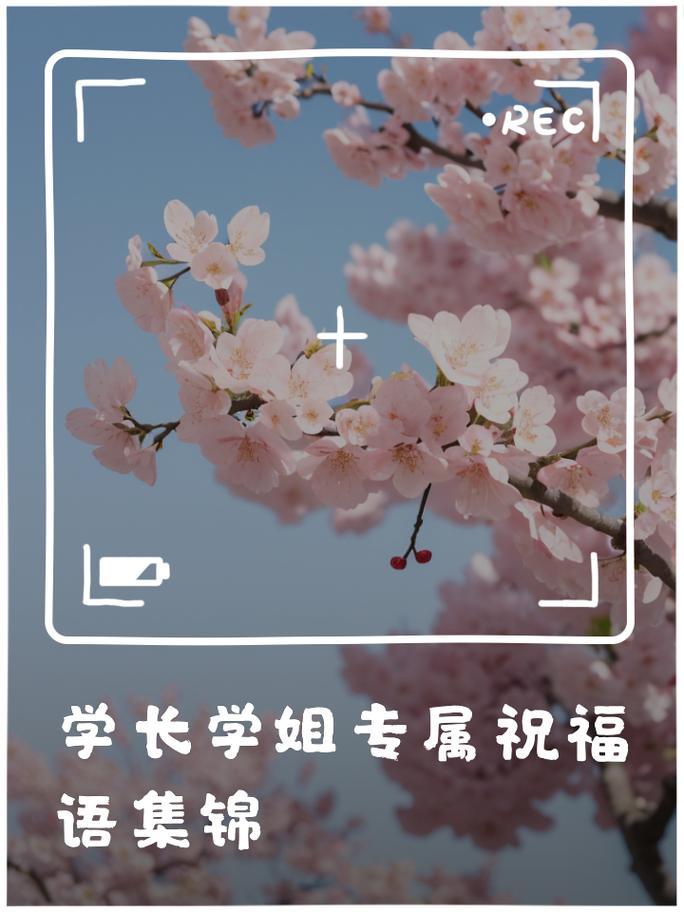 学姐的高考祝福语 第2张