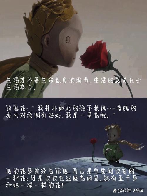 《小王子》经典语录大全 第2张