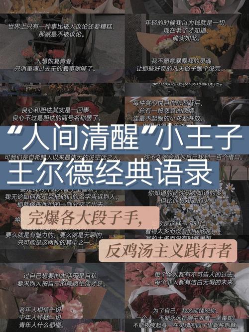 2024小王子伤感经典语录（通用250句） 第2张