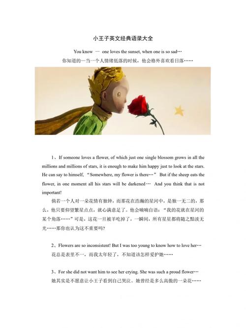 《小王子》经典语录中英文双语（精选120句） 第2张