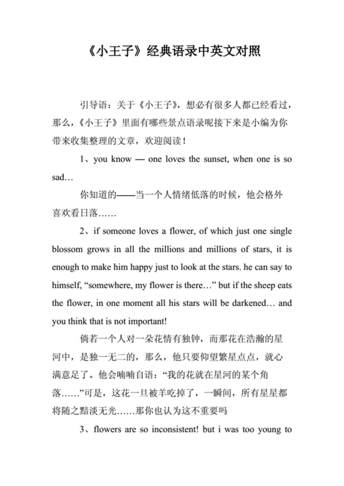 小王子的英文经典语录190句 第2张