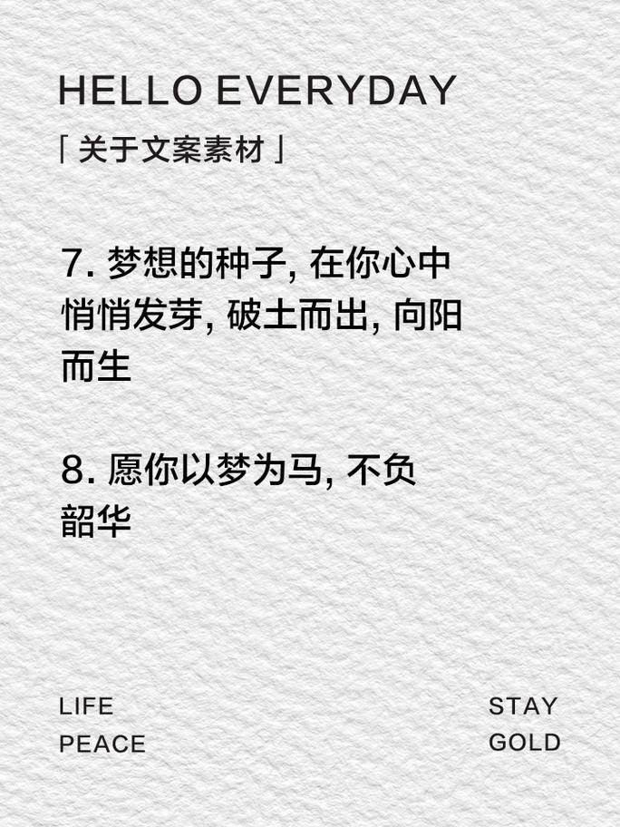 朋友圈励志文案：唤醒内心的力量，点燃你的梦想 第2张