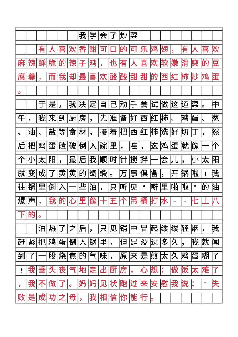 (必备)我学会了什么的作文 第1张