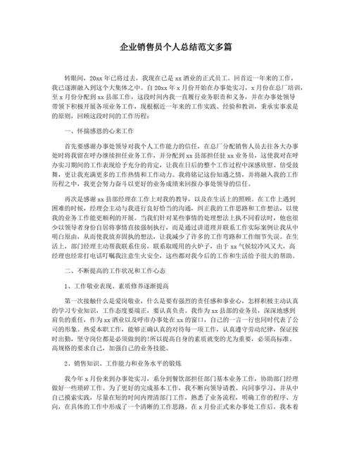 销售业务员个人总结报告 第3张