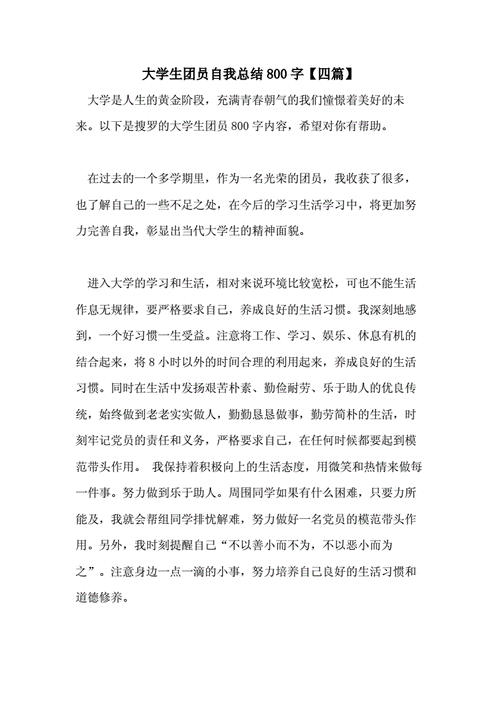 大学团员个人总结800字 第2张