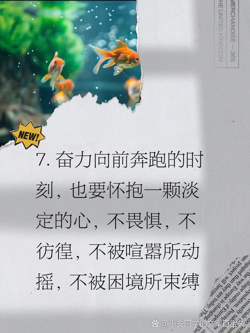 朋友圈励志文案：点亮心灵的正能量之光 第2张