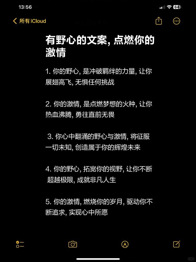 朋友圈励志文案，点燃你的激情，照亮前路 第2张