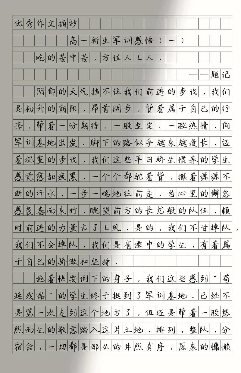 军训总结300字作文 第2张