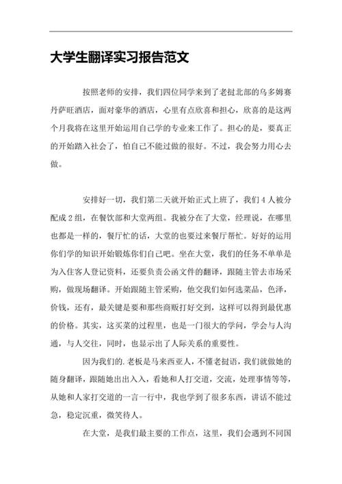 翻译实习报告总结 第3张