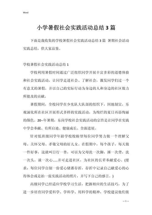 暑假社会实践活动总结 第3张