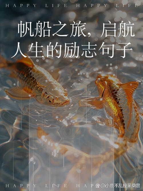 朋友圈励志文案：激发内心的斗志，扬帆起航 第1张