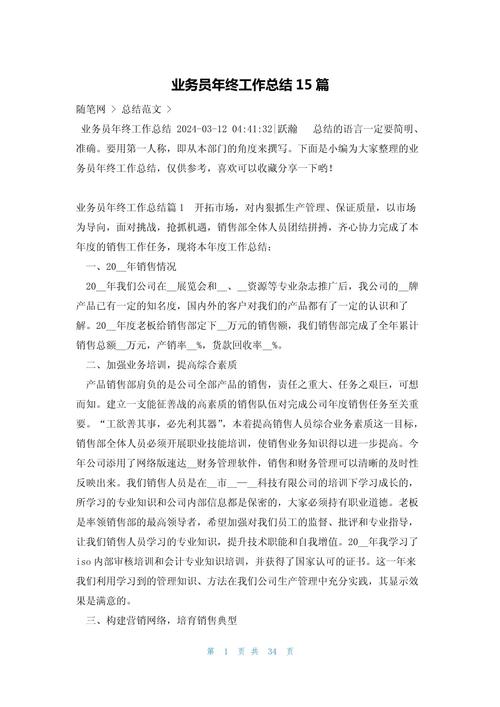 业务员年度总结简短 第1张