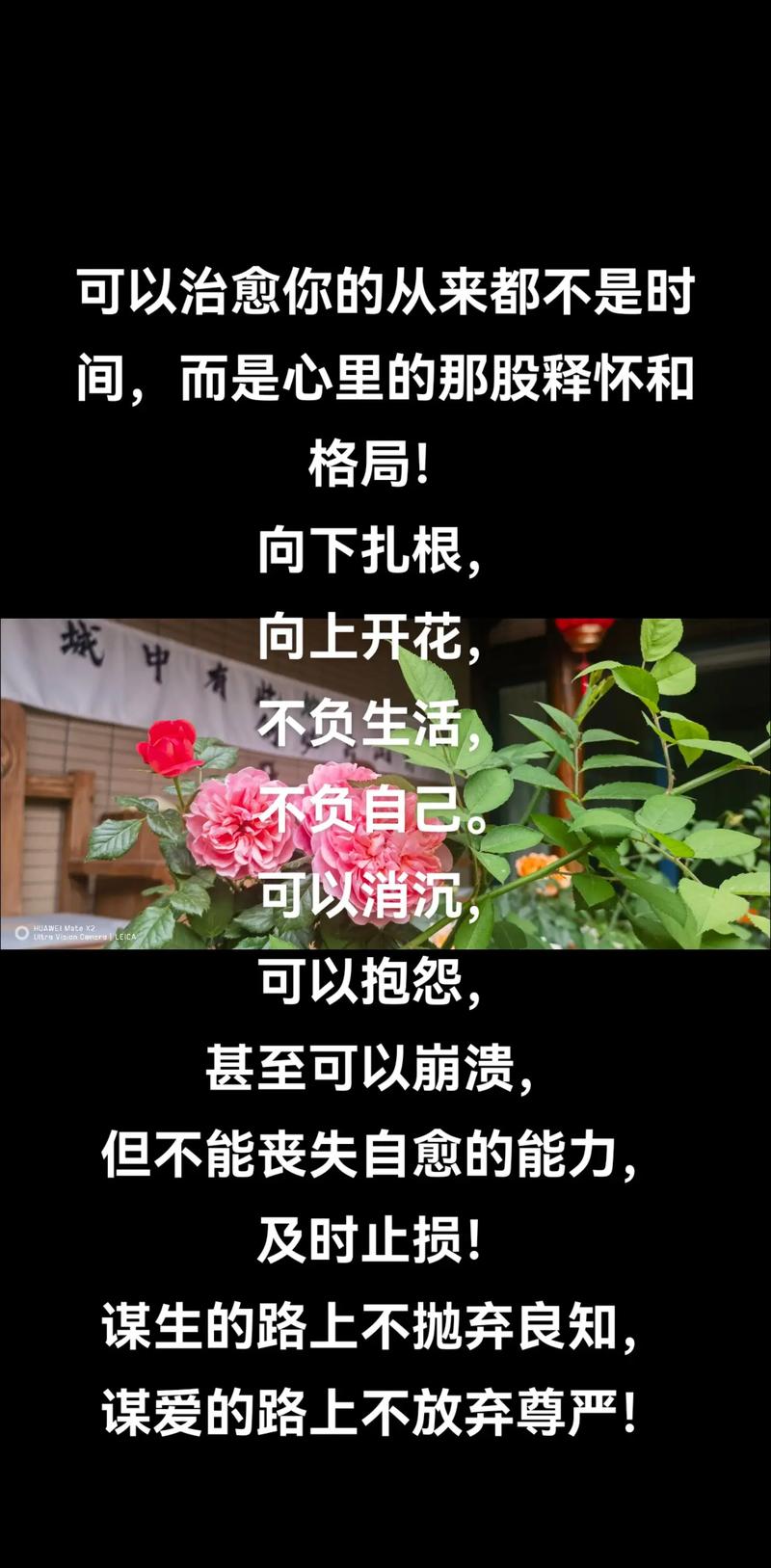 朋友圈励志文案，点燃你的向上之心 第1张