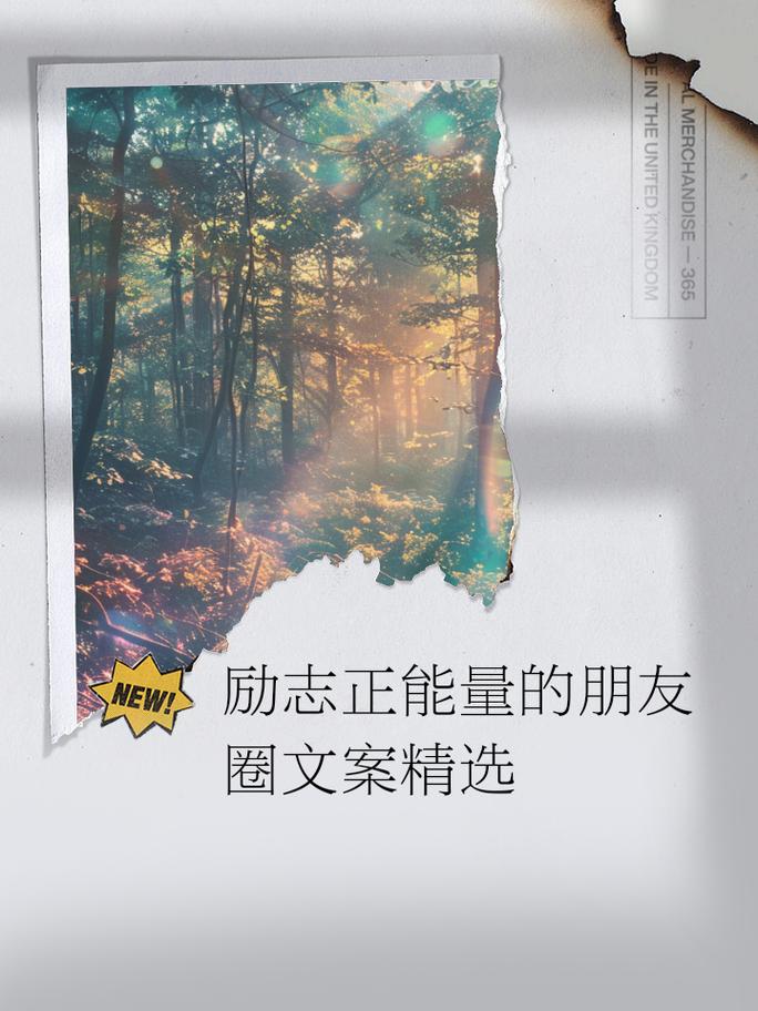 朋友圈励志文案，燃爆你的能量，追梦路上无悔前行 第3张