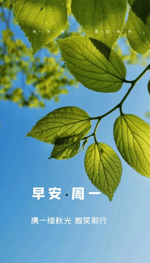 温暖人心！朋友圈励志文案集锦，点燃你的正能量！ 第2张