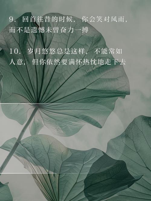 朋友圈励志文案：让心灵飞扬的暖心寄语 第1张