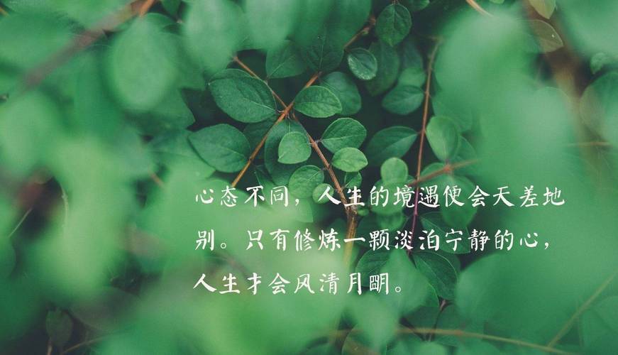 朋友圈励志文案｜点燃内心火焰，成就卓越人生 第2张