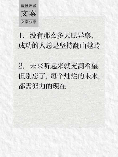 致自己：朋友圈励志文案，点燃你的成功之火 第2张