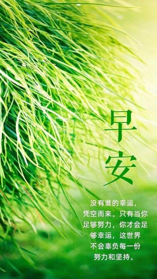 朋友圈励志文案精选，点亮你的生命之光！ 第3张