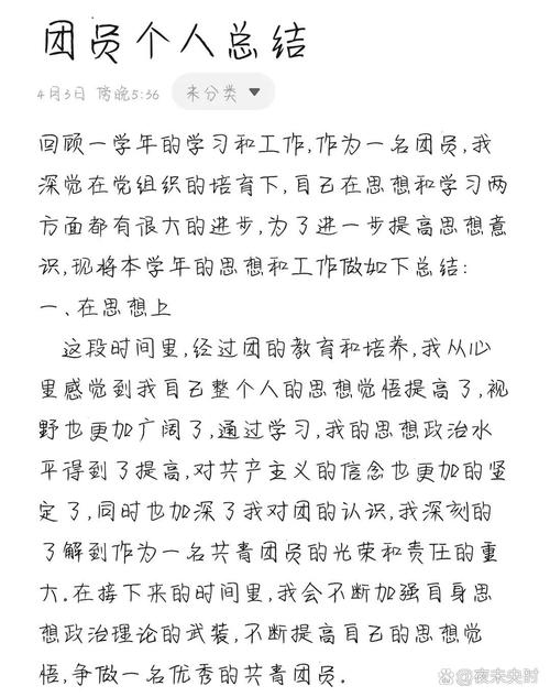 团员年度个人工作总结 第2张