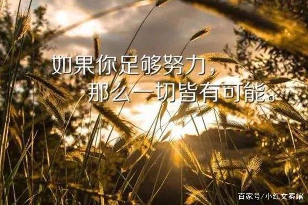 朋友圈励志文案：点亮心灵之火，鼓舞前进之路 第3张