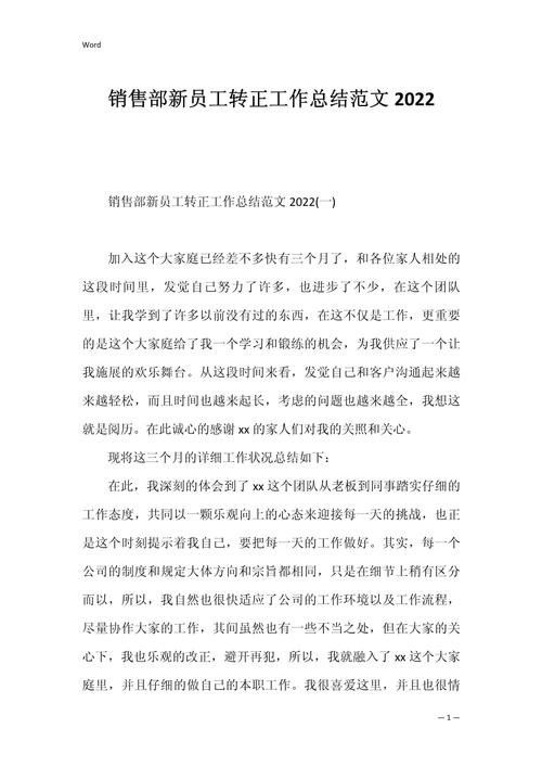 销售新人转正总结 第3张