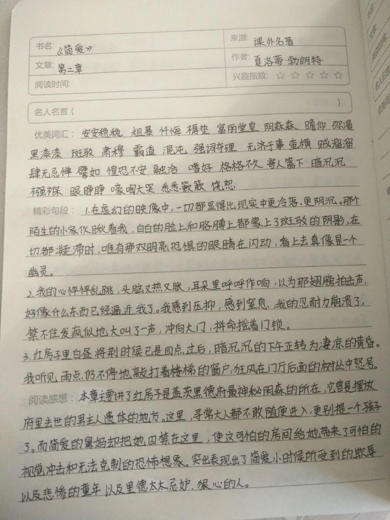 读书心得200字简爱 第3张