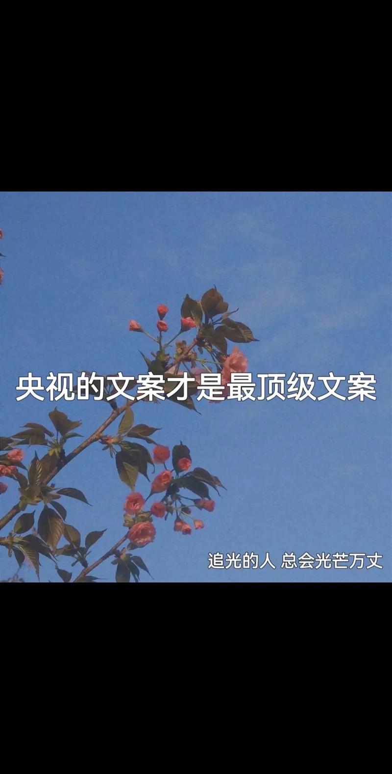 用朋友圈励志文案点燃你内心的火炬 第2张