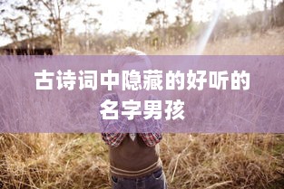 古诗词中隐藏的好听的名字男孩