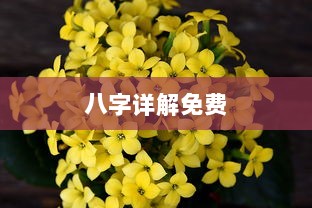 八字详解免费  第1张