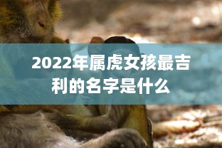 2022年属虎女孩最吉利的名字是什么