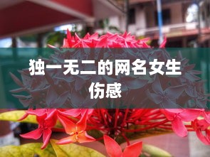 独一无二的网名女生伤感  第1张