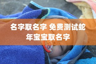 名字取名字 免费测试蛇年宝宝取名字