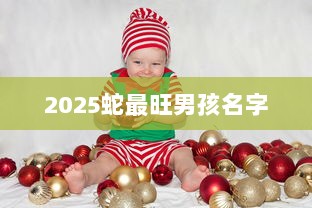 2025蛇最旺男孩名字