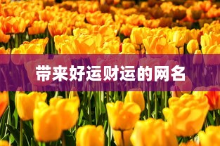 带来好运财运的网名  第1张 带来好运财运的网名  第1张