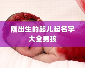 刚出生的婴儿起名字大全男孩