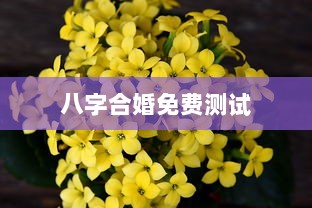八字合婚免费测试  第1张